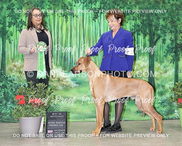 Heart of the Desert Classic Specialty Shows Thursday January 30, 2025