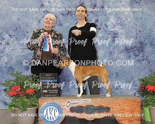 Sahuaro State Kennel Club 2 Saturday February 1, 2025