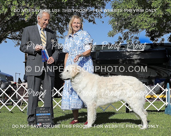 Chaparral Kennel Club 1 Friday April 25, 2025