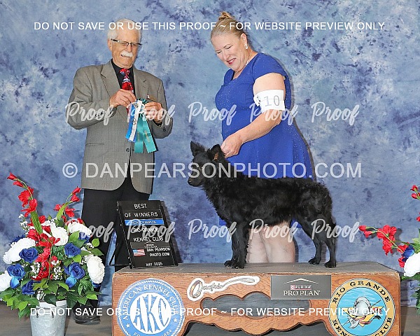 Rio Grande Kennel Club 1 Friday May 23, 2025