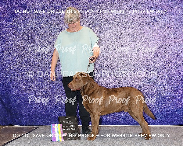Plum Creek Kennel Club 1 Friday June 13 2025