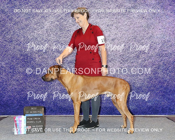 Plum Creek Kennel Club 2 Saturday June 14, 2025