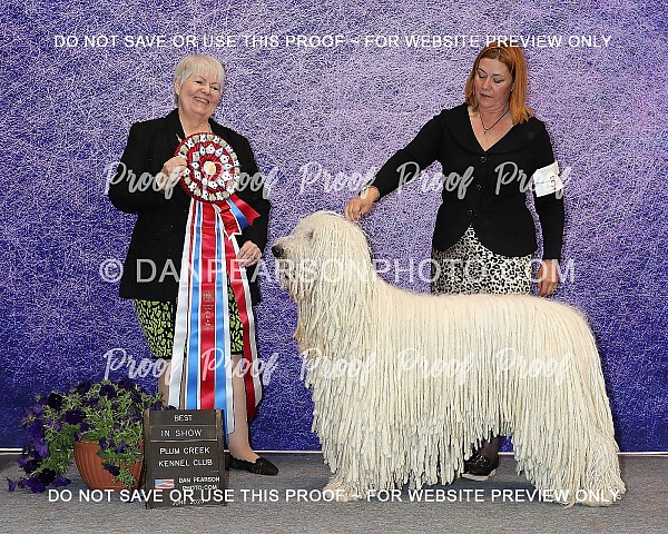 Plum Creek Kennel Club 3 Sunday June 15, 2025