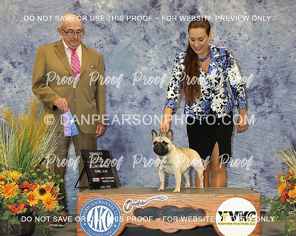 Yellowstone Valley Kennel Club 1 Thursday June 19, 2025