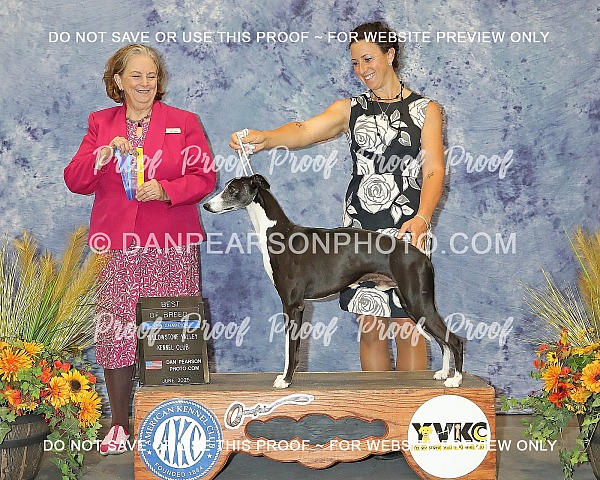 Yellowstone Valley Kennel Club 4 Sunday June 22, 2025