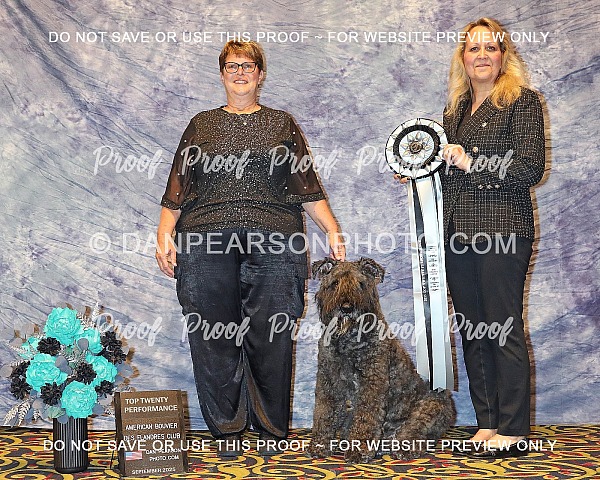 American Bouvier Des Flandres Club Top Twenty 
