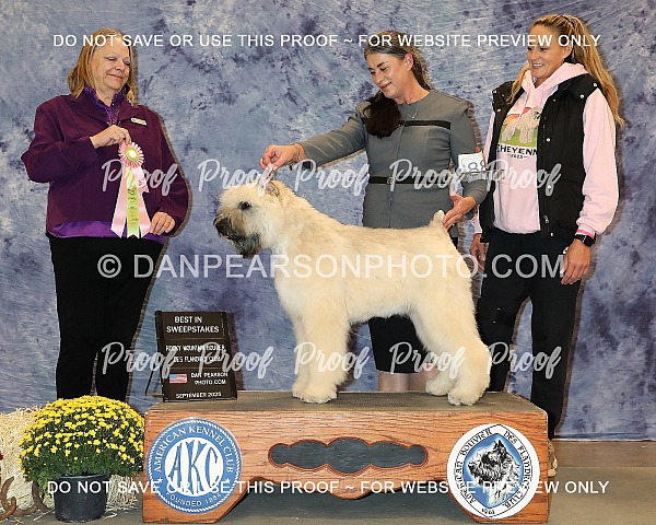 Rocky Mountain Bouvier Des Flandres Club Saturday September 6, 2025