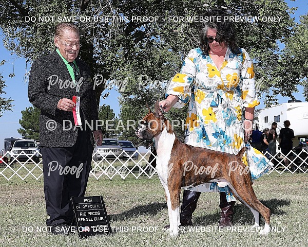 Rio Pecos Kennel Club 2 Saturday October 4, 2025