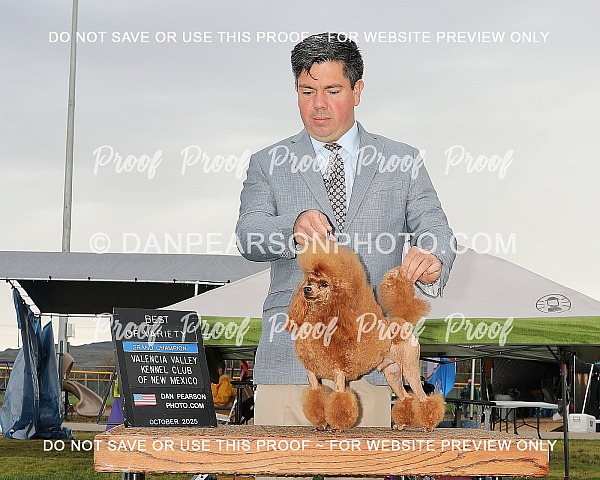 Valencia Valley Kennel Club 3 Sunday October 12, 2025