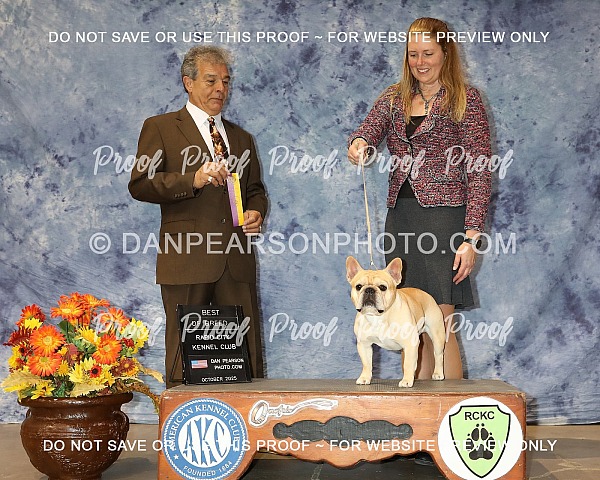 Rapid City Kennel Club 1 Friday October 17, 2025