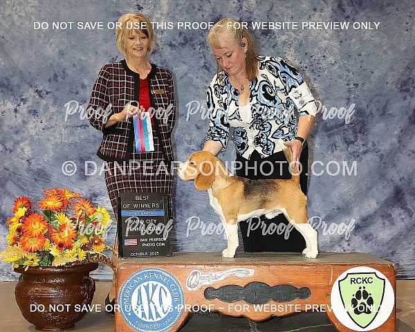 Rapid City Kennel Club 2 Saturday October 18, 2025 (1st Show)