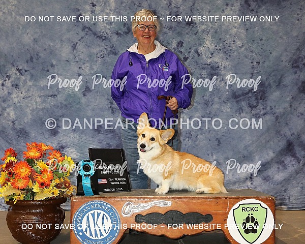 Rapid City Kennel Club 3 Saturday October 11, 2025 ( 2nd Show)