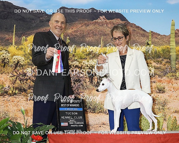 Tucson Kennel Club 1 Friday November 14, 2025