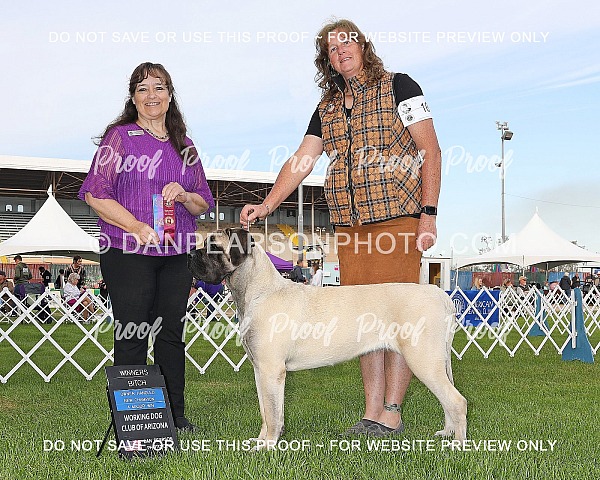 Heart of the Desert Classic Specialties Thursday January 29th, 2026