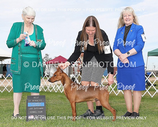 Lost Dutchman Kennel Club 2 Monday February 2, 2026