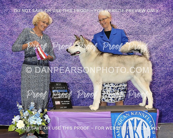Plum Creek Kennel Club 1 Friday 12, 2026