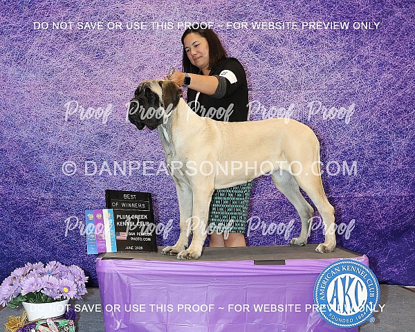 Plum Creek Kennel Club 2 Saturday 13, 2026