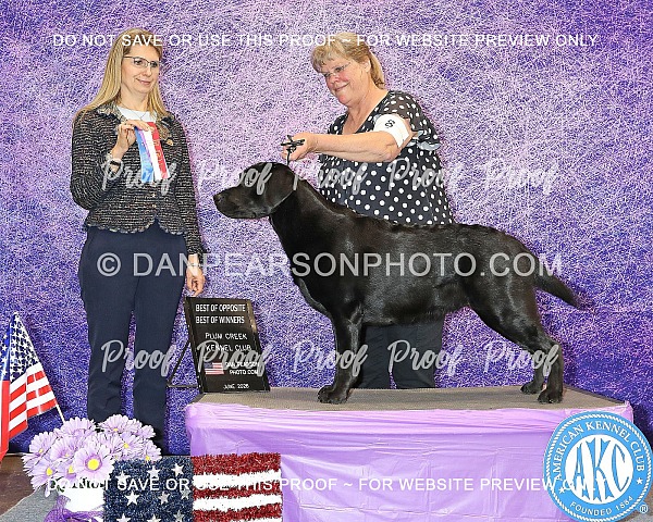 Plum Creek Kennel Club 3 Sunday June 14, 2026