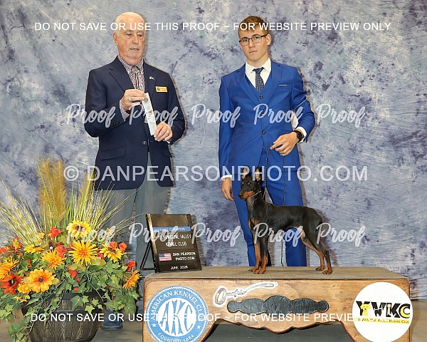 Yellowstone Valley Kennel Club 1 Thursday June 18, 2026