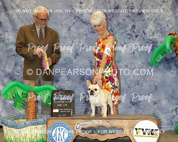 Yellowstone Valley Kennel Club 2 Friday June 19, 2026