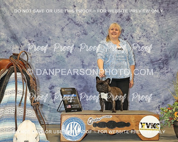 Yellowstone Valley Kennel Club 3 Saturday June 13, 2026