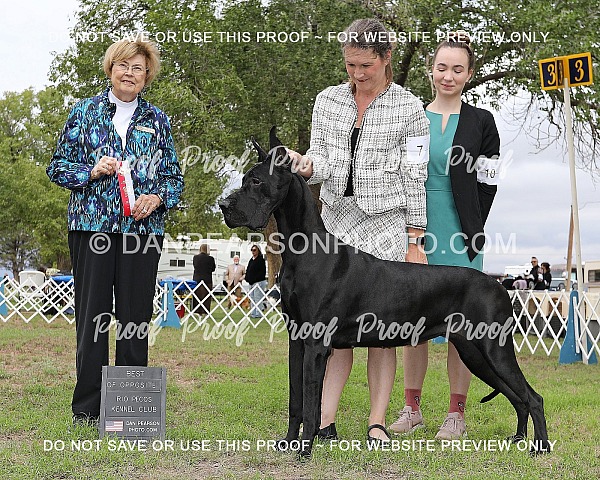 Rio Pecos Kennel Club 1 Friday October 2, 2026
