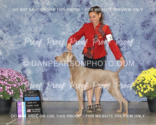 Rapid City Kennel Club 1 Friday October 9, 2026